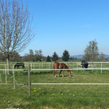 Frühling